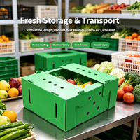 Boîte de rangement en PP personnalisée pour gingembre, légumes et produits à base de calcium – Vente en gros