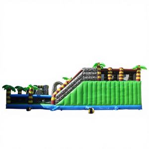 Château gonflable géant WINSUN en forme de dinosaure, trampoline en PVC, certifié CE, taille personnalisable, installation facile - Product Image 1