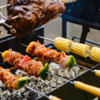 Mécanisme rotatif en acier inoxydable pour grillades extérieures avec 12 brochettes de 5 mm, ensemble de boîte de vitesses rotative pour barbecue