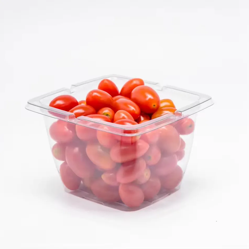 Werkspreis umweltfreundlich Traube Wassermelone Mangobärchen Kirsche einweg-kunststoffplatte Versiegelung scharnierbehälter