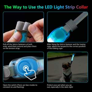 Benutzer definiertes Logo PVC Wasserdicht leuchtend Leuchten Haustier halsband Nachts icherheit Im Dunkeln leuchten LED-Hunde halsband - Product Image 6