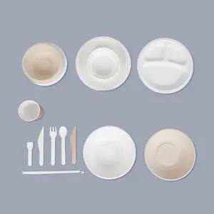 Assiette à bagasse écologique-Votre choix durable pour la vaisselle jetable