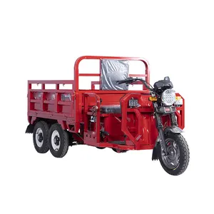 Top Ang Fashion Lcd Eec 3 Wheel Electric Tricycle For Sale