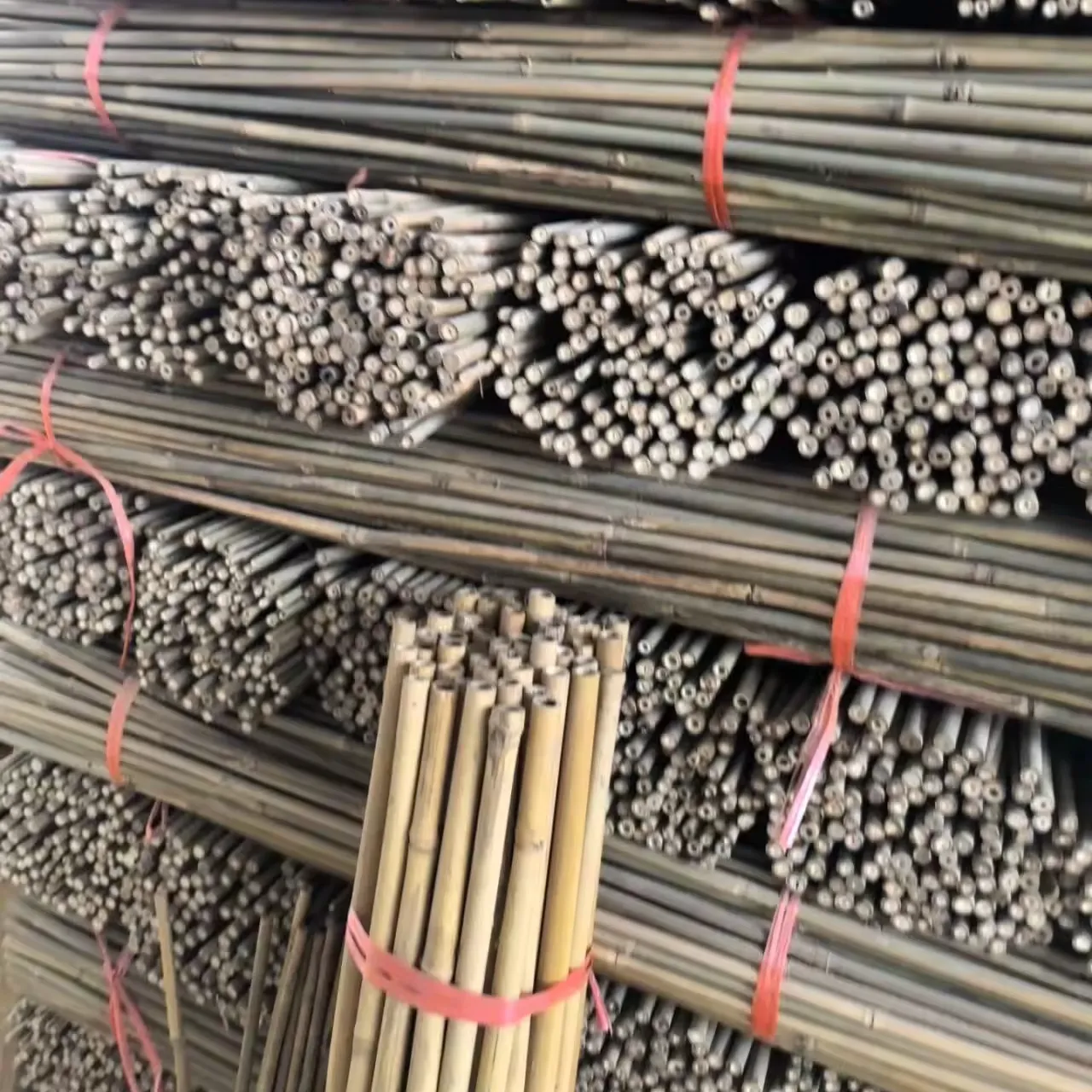 Großhandel natürliche trockene gerade rohe Tonkin-Bambusrute für Pflanzenunterstützung