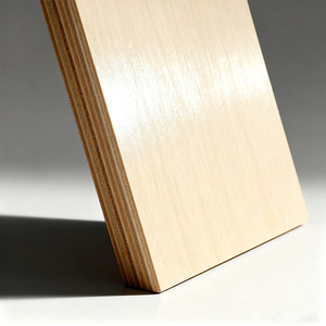 Directo de fábrica alemán Dieffenbach prensa alta fuerza de unión 18mm madera contrachapada comercial para accesorios de tienda minorista - Product Image 1