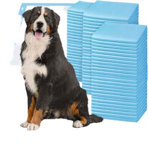 แผ่นรองซับฉี่สัตว์เลี้ยงแบบใช้แล้วทิ้ง ขนาด XL สำหรับสุนัข/แมว ซึมซับดีเยี่ยม ป้องกันการรั่วซึม สำหรับลูกสุนัขและสัตว์เลี้ยงอื่นๆ อุปกรณ์ฝึกขับถ่ายสัตว์เลี้ยง - Product Image 1