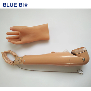 Bộ điều khiển cáp cho tay giả AE - Product Image 2