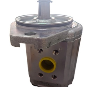 Bomba de Engranajes para Equipo 0517615307 - Product Image 1