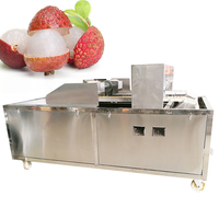 Olijvenontpitter CE-gecertificeerd 2,2 kW motor multifunctionele kersenontpitter fruitextractie werkplaatsmachine