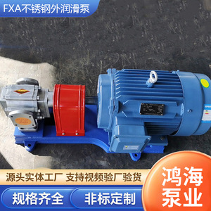 Pompe à lubrification externe en acier inoxydable Fxa, matériau 304, pompe à engrenages rotative à entraînement électrique pour le transport d'huile hydraulique - Product Image 1