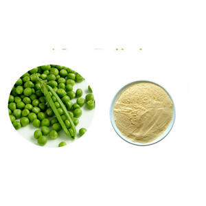 妊娠中の女性のための100% 有機植物ベースのビーガンチョコレートフレーバーエンドウ豆タンパク質単離粉末食品グレード - Product Image 6