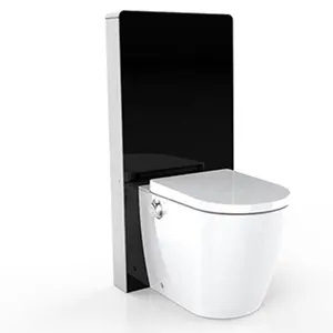 Réservoir de toilette noir à la mode, pour salle de bain, Bidet, armoire à double chasse d'eau