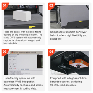 DWS-система 8-сортировочная машина для сортировки посылок для складской логистики, измерительная машина для взвешивания, сканирующая сталь - Product Image 2