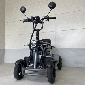 ยางขนาดใหญ่ 11 นิ้ว สำหรับยานยนต์ไฟฟ้าขนาดเล็ก 600W มอเตอร์คู่ ระบบเบรกที่ได้รับการอัปเกรด - Product Image 4