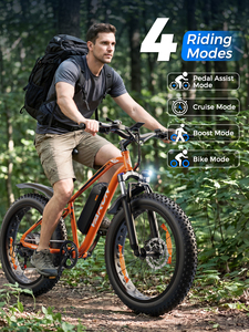 Bicicleta Eléctrica Shimano de 7 Velocidades, Varun M26-2 Pro, 26 Pulgadas, Neumáticos Anchos, 250w, Cumple con la Normativa Europea, Alcance Probado de 65 km, 25 km/h, IP65, 150 kg, Venta al por Mayor en la UE, M26-2pro - Product Image 4