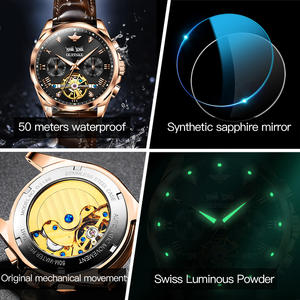 Oupinke 3186 OEMカスタムロゴラグジュアリー本革トゥールビヨン時計スケルトン防水自動機械式メンズウォッチ - Product Image 6