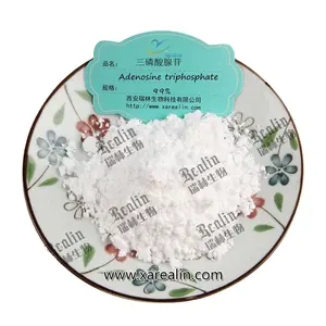 Wholesale Bulk Health Products Material CAS 56-65-5 ATP 98% Pure Adenosine Triphosphate Powder