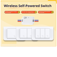 Panel de interruptor de Control remoto inalámbrico a través de la pared HILYNN para Smart TT App PC Material ignífugo Diseño moderno 10A 240V Single