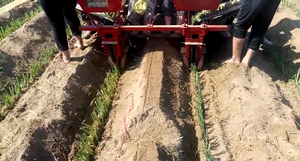 Machine de plantation d'<span class=keywords><strong>oignon</strong></span> vert autopropulsée, équipement de plantation de chou chinois quatre ronds - Product Image 4