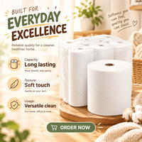 Rouleaux de papier toilette écologiques biodégradables, lingettes pour le corps, vente en gros, logo personnalisé, doux, épais, en pâte de bois vierge, 12, 24, 48 rouleaux