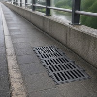 Grille de drainage en fonte robuste pour zone de portail de maternelle, système de drainage d'eau à fentes