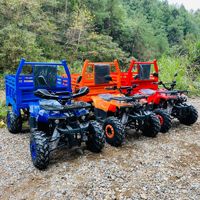 Quad agricole pour adultes, 4x2, avec levage hydraulique automatique, véhicule tout-terrain