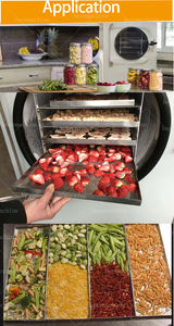 Meilleure Qualité 10kg 15kg Lyophilisateur Alimentaire Séchage Lyophilisateur Machine Prix pour La Maison Avec <span class=keywords><strong>Pompe</strong></span> <span class=keywords><strong>À</strong></span> Vide Sans Huile Usa En Stock - Product Image 6