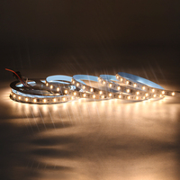 Bandes LED programmables à couleurs complètes 24V 1934 SMD5050 3000K 4500K 6000K avec circuit intégré externe pour bars et KTV