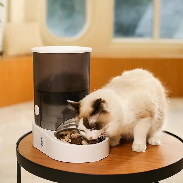 자동 시간 스마트 와이파이 개 고양이 식품 디스펜서 자동 마스코트 애완 동물 피더 그릇 디지털 타이머