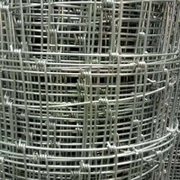 Alambre de Hierro Galvanizado de Alta Calidad y Bajo Costo para Cercas de Ganado, Cabras, Granjas y Corrales