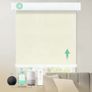 High Quality Motorized Electric 120V Tubular Motor Remote Controlled Smart Blackout Roller Blind For Home Window Use