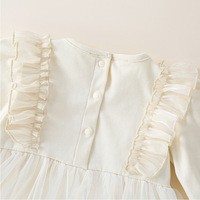 Robe de princesse en tulle pour bébé fille, tenue de fête à manches longues et bouffantes pour le printemps et l'automne