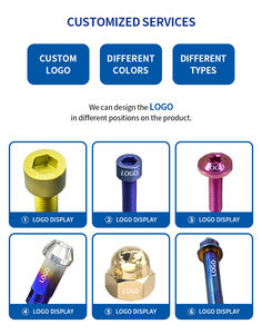 Parafuso de Titânio OEM de Alta Qualidade Personalizado M3 M4 M5 M6 M10 com Cabeça Hexagonal e Soquete para Motocicletas - Product Image 4