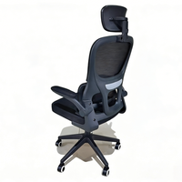 Chaise de bureau écologique, mobilier, vente chaude, chaise de bureau informatique, 2025, belle, meilleure chaise de bureau pour le confort, ergonomique