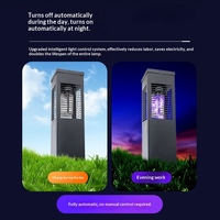 Lampe Solaire LED Personnalisée IP65 pour Extérieur, Parc à Thème, Jardin, Cour, Anti-Moustiques et Répulsif d'Insectes - Fabricant Chinois