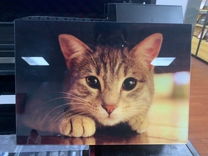 Jaysprinter F1080 UV <b>Printer</b> with 6090 PRO Three Heads Varnish Multi-Material Printing for US New Condition 6090 UV <b>Ink</b> - Product Image 6