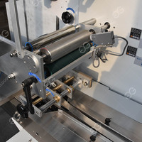 ZS450SE Automatische Groente-en Horizontale Kussen Soort Verpakking Machine Met Datum Afdrukken
