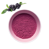 100% poudre d'acai naturelle pure extrait de plante biologique Soluble dans l'eau poudre lyophilisée poudre de fruits de baies d'açai