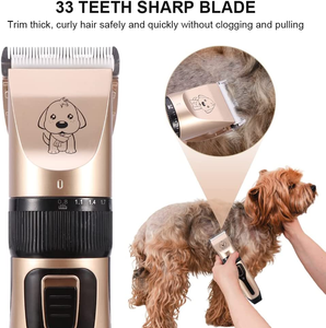 ชุดตัดขนสัตว์เลี้ยง Petdom Sales กำลังสูง ไร้สาย สำหรับมืออาชีพ - Product Image 2