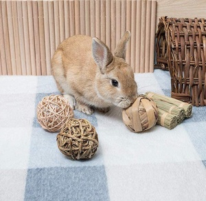 Jouet non tissé à la main, lot de 4 mini animaux 28 pièces, balle d'herbe, accessoire à mâcher, pour lapin, chat, hamacs, gerilles - Product Image 5