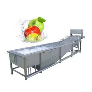 Factory Supply Carrot Bubble Washing Equipment food washing machine