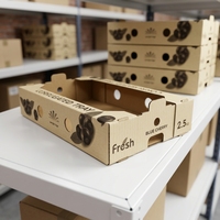 Op maat gemaakte recyclebare stapelbare golfkartonnen fruit- en groentebak met matte laminatie voor koudeketentransport