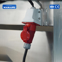 Volledig automatische machine voor het wassen van fruit, complete sapverwerkings- en productielijn, granaatappelsapwasmachine