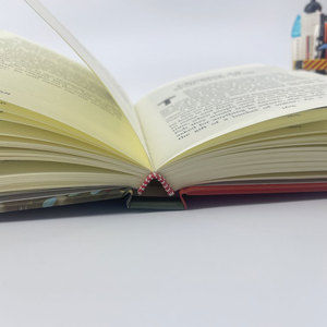 Venta Directa de Fábrica OEM: Libro Personalizado de Tapa Dura Mini con Encuadernación Perfecta y Laminación de Película - Product Image 5