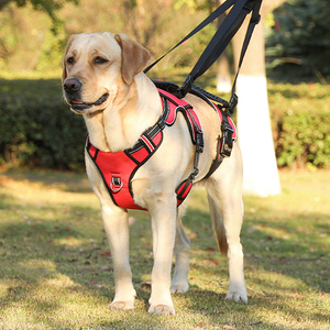 Dog Lift Harness Support Sling for Arthritis Elderly Disabled Large Dogs Front Rear Leg Lifter Walking <b>Helper</b> Pet Lift Harness - Product Image 6