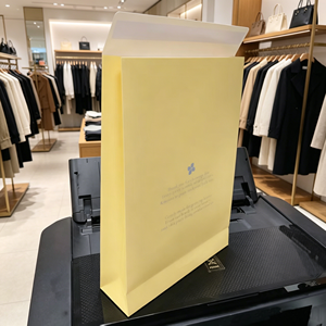Custom Logo Coated Paper <b>Envelope</b> Express Bag Clothing Packaging Shipping Paper Mailer Courier Mailing Bags for Small Business - Product Image 1