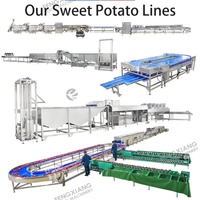 Friteuse automatique personnalisée pour patates douces, en acier inoxydable SUS304, capacité 1-3t/h, 440V/380V, puissance 6kW, pour le nettoyage des légumes et des céréales