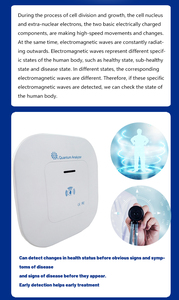 업그레이드된 10 세대 양자 바디 스캔/양자 공명 자기 분석기/체지방 및 피부 웰빙 보고서 - Product Image 3