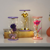 Idées cadeaux pour la Saint-Valentin 2025 : rose éternelle colorée arc-en-ciel illuminée dans un dôme en verre