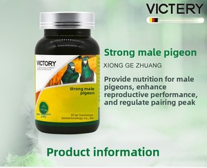 Medicamento para Palomas que Estimula el Potencial Reproductivo, Diseñado Específicamente para la Reproducción de Palomas Mensajeras y Productos para el Cuidado de la Salud de las Palomas - Product Image 2
